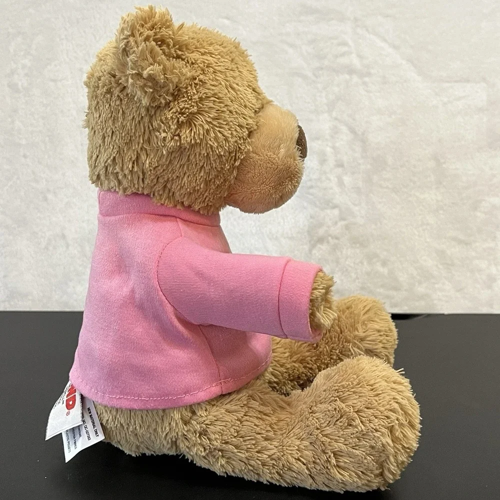Gund Brown Teddy Bear Pink GET WELL Shirt Gift